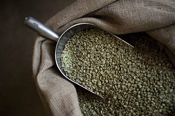 100 Green Beans AU